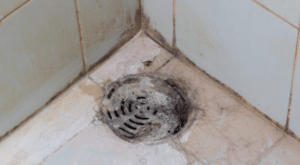 Ways To Unclog Your Shower Drain Allied Gardens San Diego