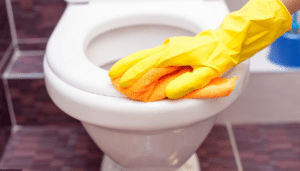 Reasons Your Toilet Smells And How To Get Rid Of It Allied Gardens San Diego